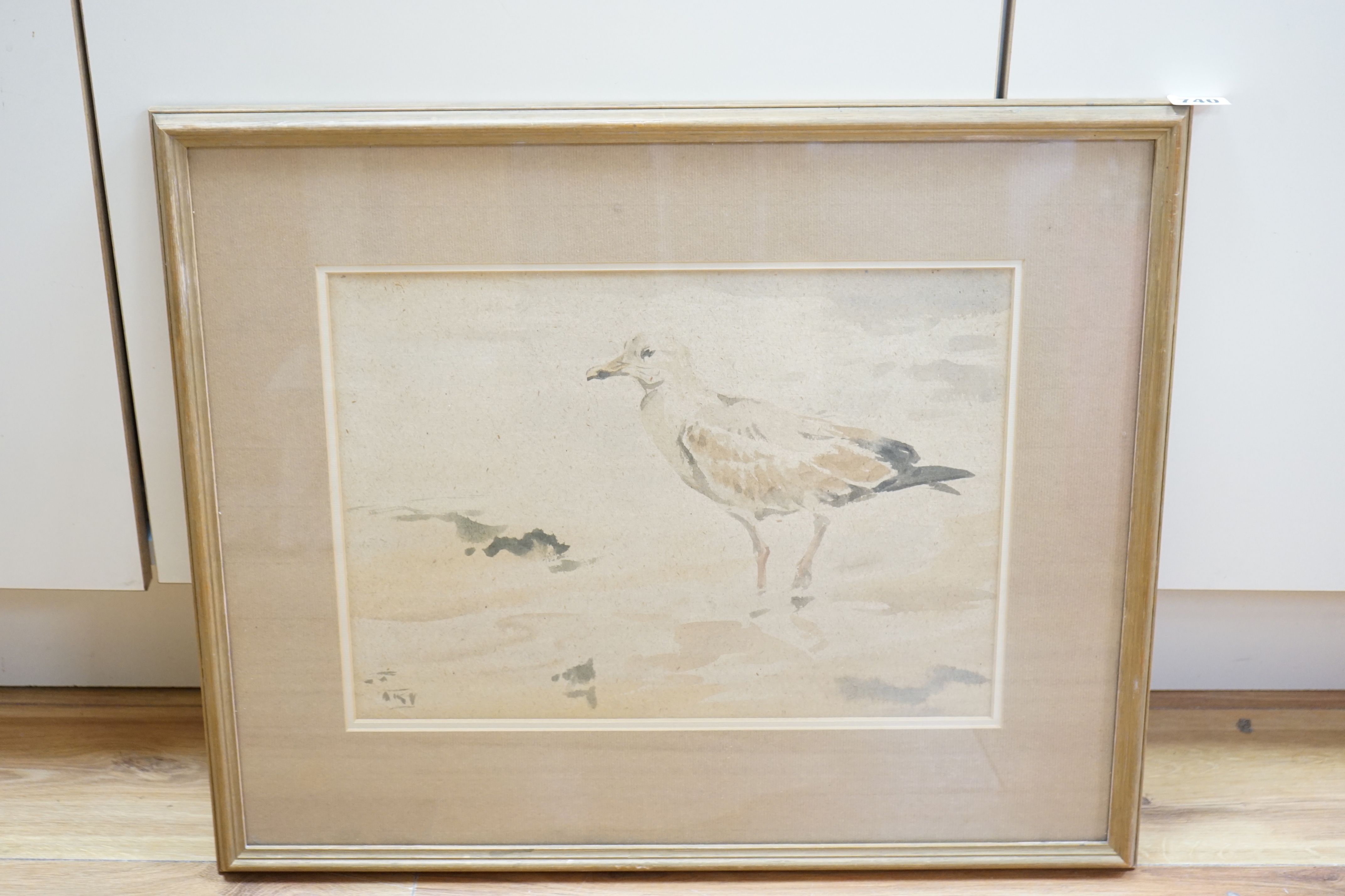 Richard Barrett Talbot Kelly (1896-1971), watercolour, Gull on the shore, monogrammed, 28 x 38cm